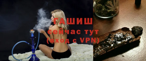 PSILOCYBIN Покачи