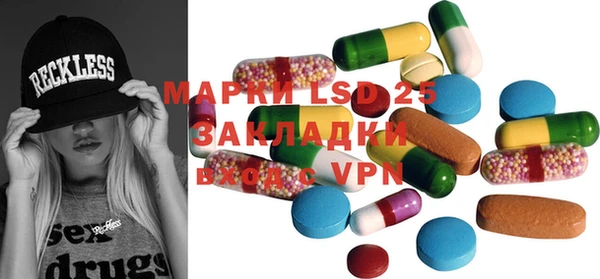 PSILOCYBIN Покачи