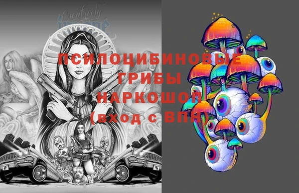 PSILOCYBIN Покачи