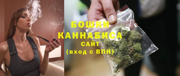PSILOCYBIN Покачи