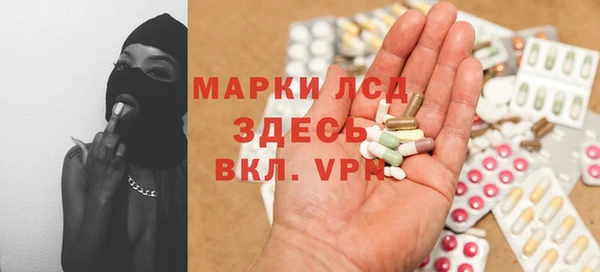 PSILOCYBIN Покачи
