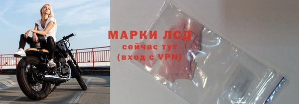 PSILOCYBIN Покачи