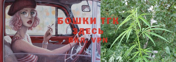 PSILOCYBIN Покачи