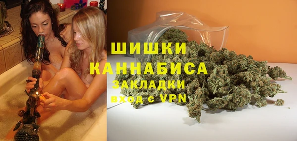 PSILOCYBIN Покачи