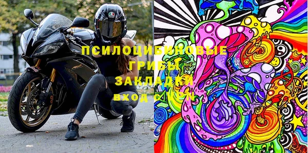 PSILOCYBIN Покачи